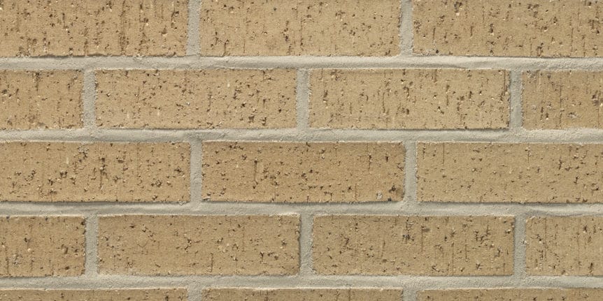 Acme Brick - Castle Gray Velour Texture, Modular thinBRIK