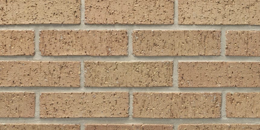 Acme Brick - Painted Desert Velour Texture, Modular thinBRIK