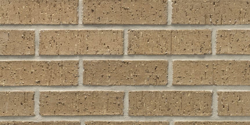 Acme Brick - Paloma Gray Velour Texture, Modular thinBRIK