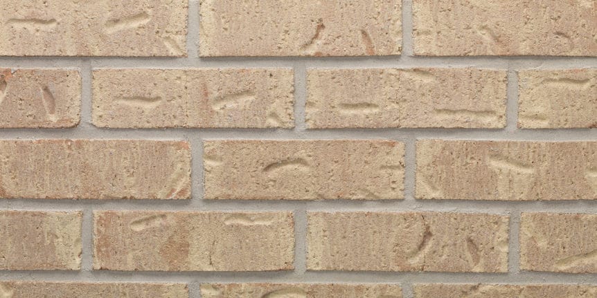 Acme Brick - Rio Colorado Heritage Texture, Modular thinBRIK
