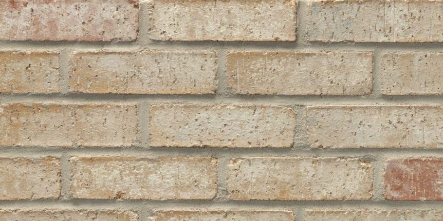 Acme Brick - Saddlebrook Heritage Texture, Modular thinBRIK