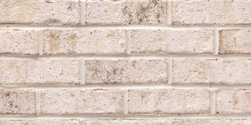 Acme Brick - San Jose Heritage Texture, Queen Size thinBRIK