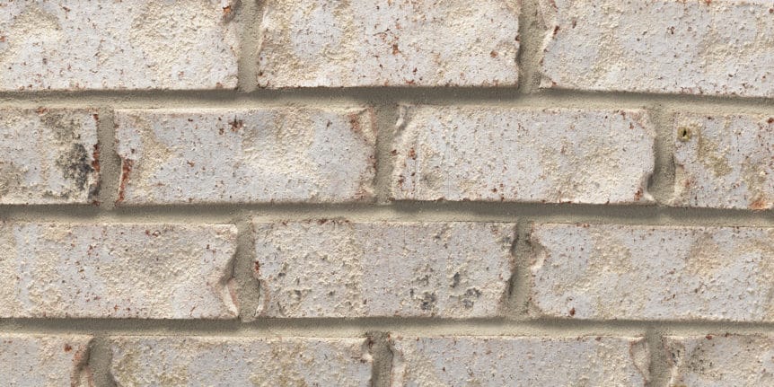 Acme Brick - San Jose Heritage Texture, Modular thinBRIK