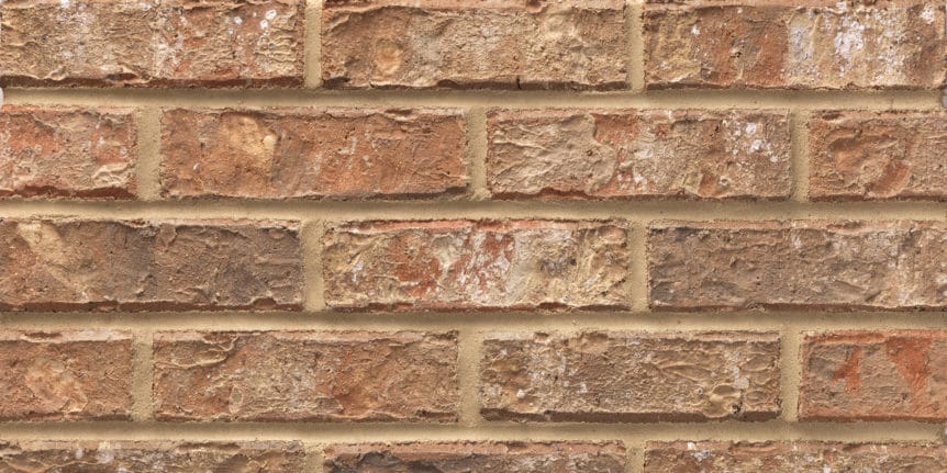 Acme Brick -  Seabrook Heritage Texture, Modular thinBRIK