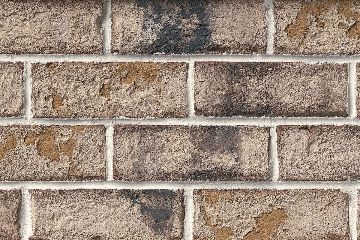 Authintic Brick by Meridian® Brick - Coastal Bluff Thin Brick