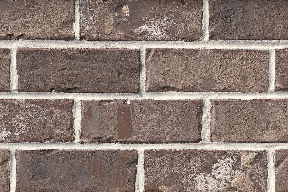 Authintic Brick by Meridian® Brick - Marsh Pointe Thin Brick